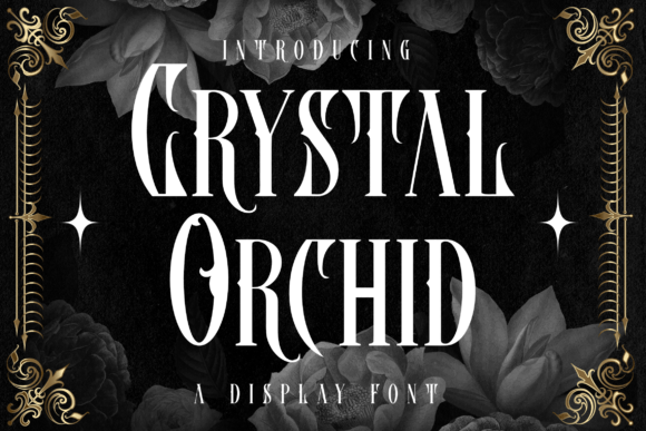 Crystal Orchid: Elevating Retro-Urbranding with Chic Blackletter Design