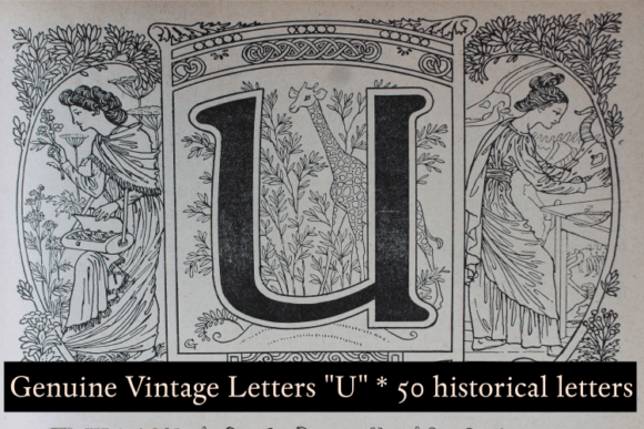 Evaluating Genuine Vintage Letters SUPERPACK 1050 L for Historical Design Projects